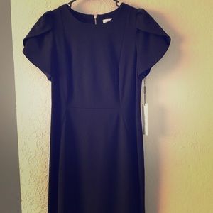 Black Calvin Klein dress. Perfect for work place.